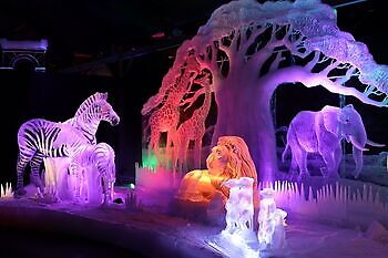 Ijsbeelden festival Elburg A&D Opstap